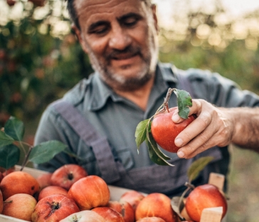 Sostenibilità e Prossimità